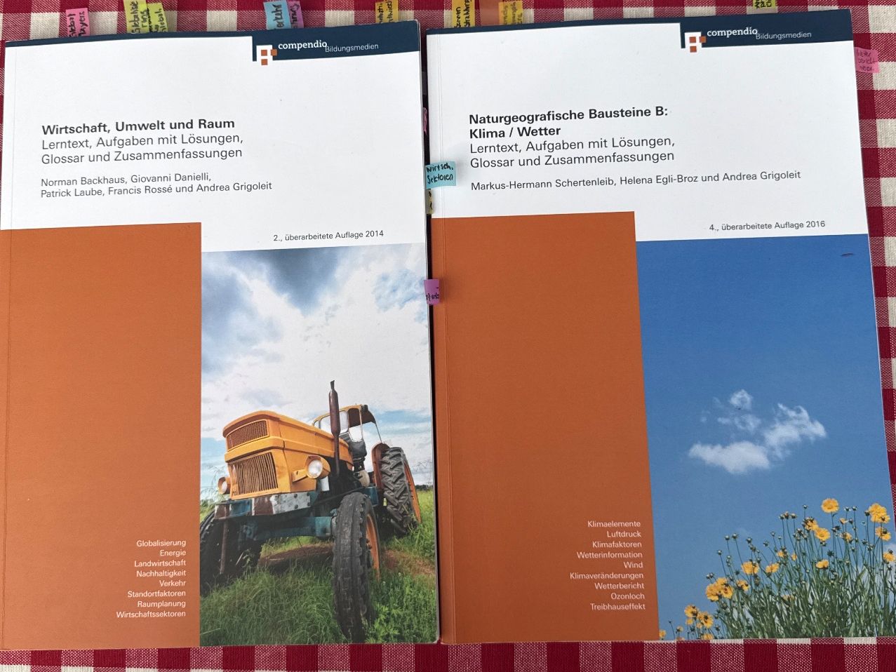 Libri: Passerelle Geografie Bücher 5 Stk – Usato da Ehrendingen venduto da nat_2j7q 2