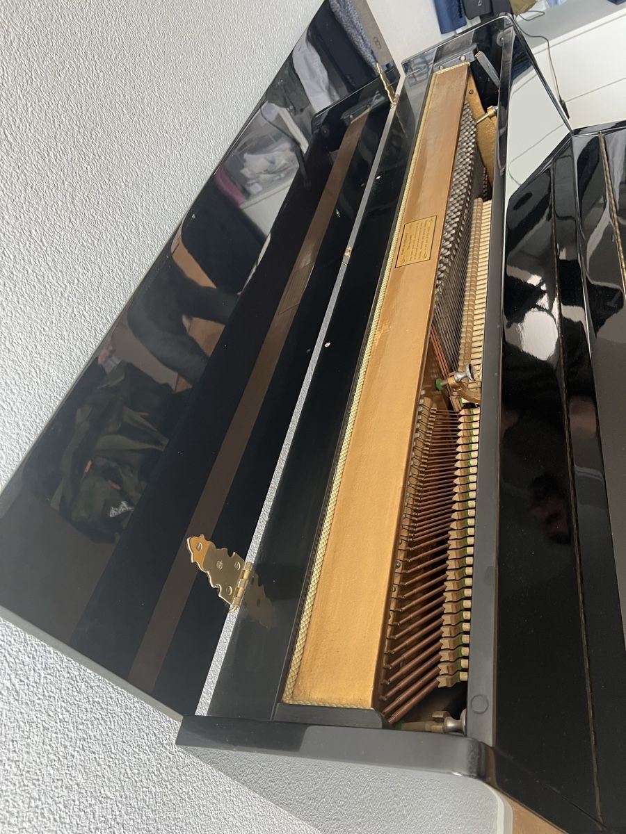 Strumenti musicali: Klavier Knight – Usato da Winterthur venduto da selilady 2