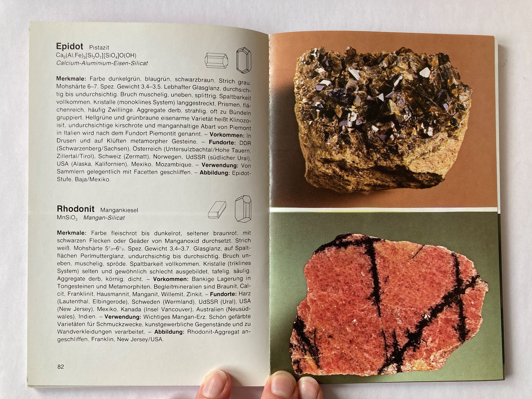 Bücher: Buch: MINERALIEN + GESTEINE – Gebraucht aus Bubendorf von Alpenheidi 7