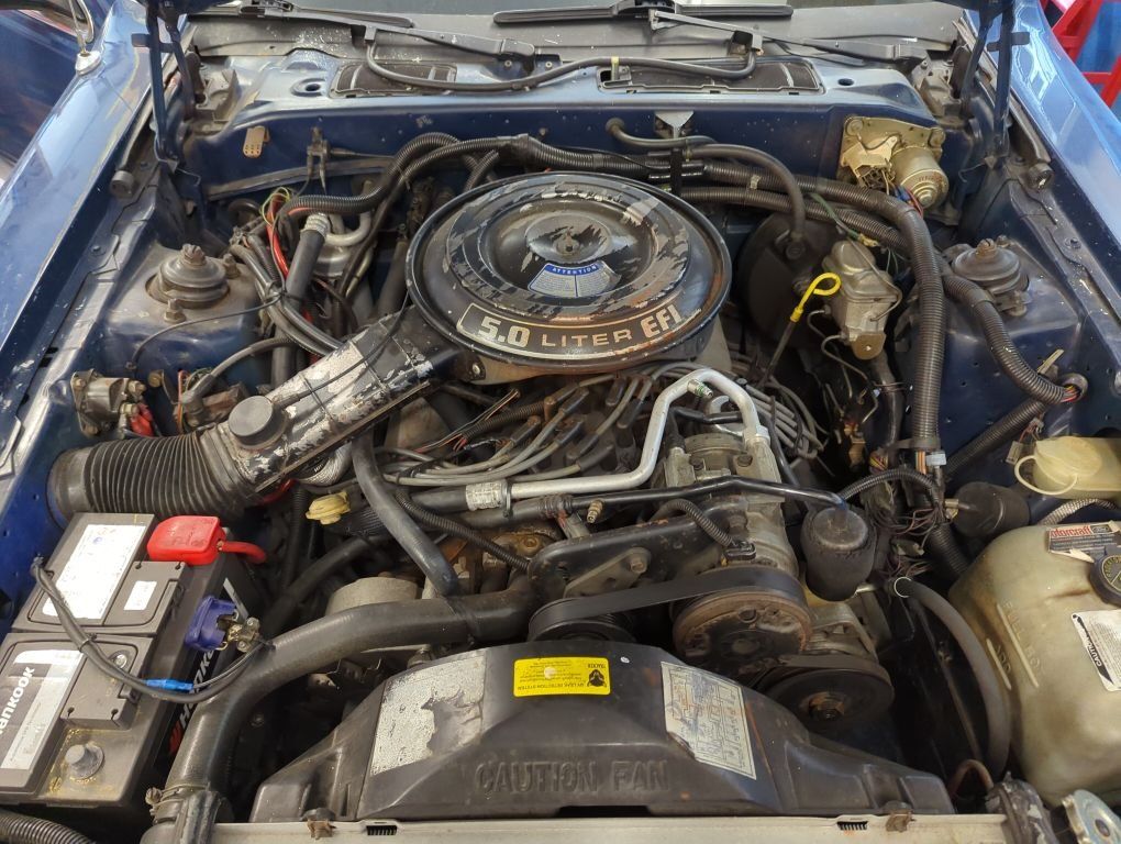 Ford (Usa) Automobili: 1985 Ford Thunderbird – Usato da Nebikon venduto da streetstrip 2