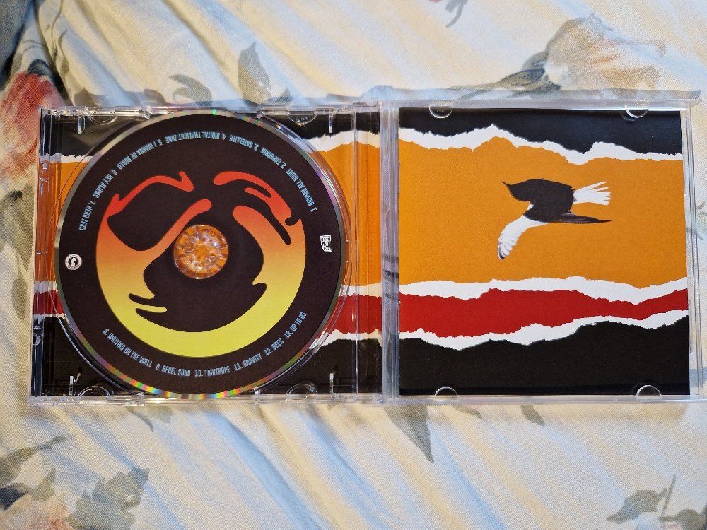 CDs: The Bouncing Souls – Simplicity - b – Gebraucht aus Brittnau von Zibu 2
