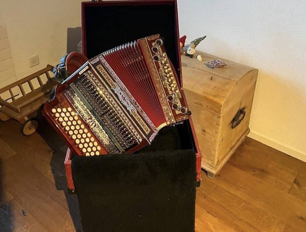 Strumenti musicali: Novak Superium Harmonika – Usato da Eschen venduto da Forsttech-Eschen