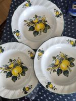 3 assiettes Jamaica, Villeroy boch. 23 cm