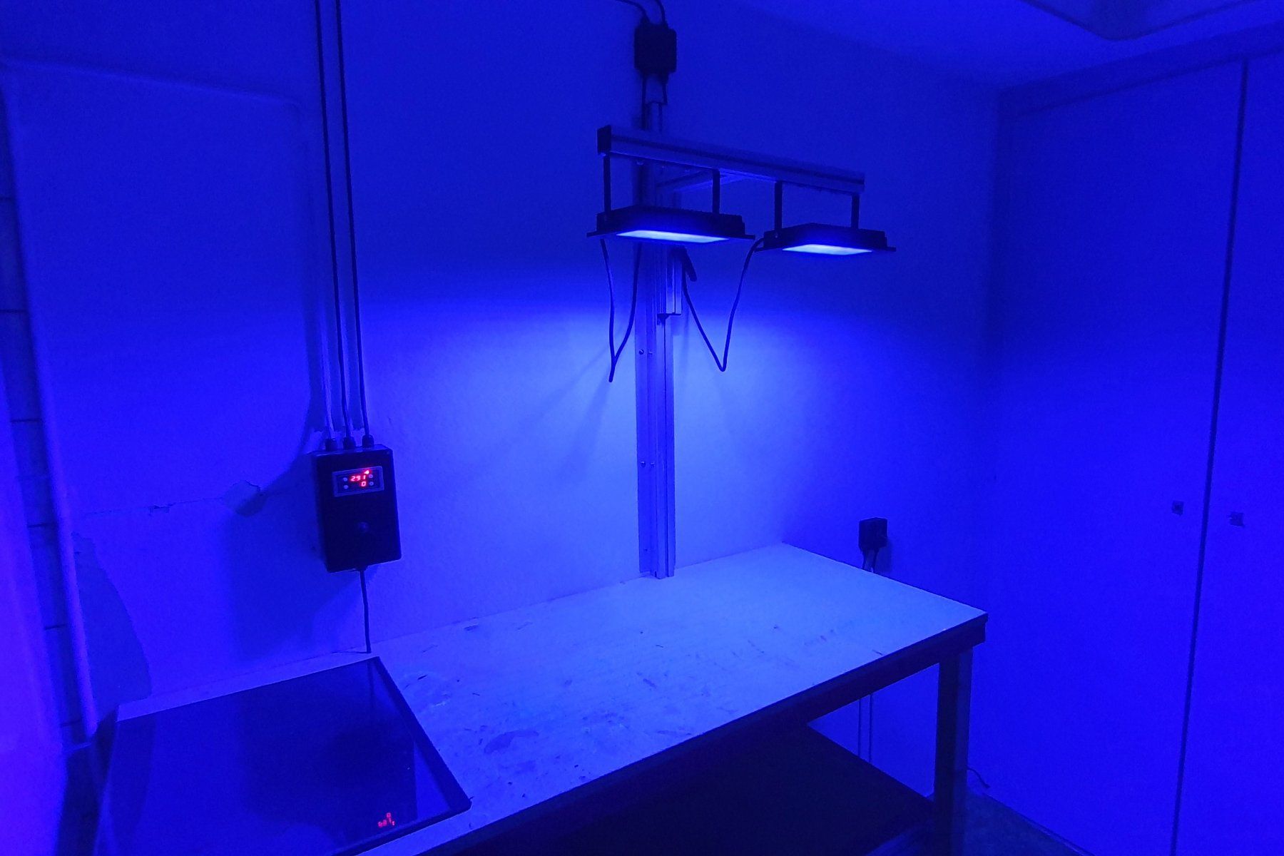 Tutti gli attrezzi: DIY Belichtungseinheit – Usato da Basel venduto da Postbuero 3