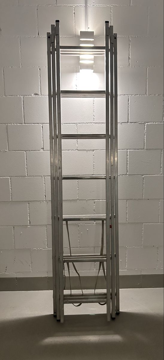 Scale: Mehrzweckleiter Anlege-Steh-oder Schiebeleiter Aluminium 3-t – Usato da Schongau venduto da Designart