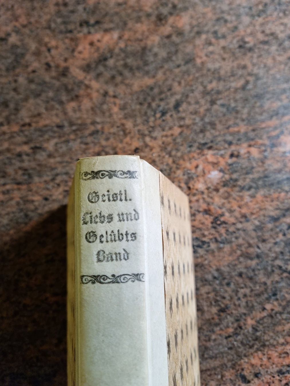 Libri: Einsiedeln 1718 Adam Rupert Schädler – Usato da Trachslau venduto da post35 1