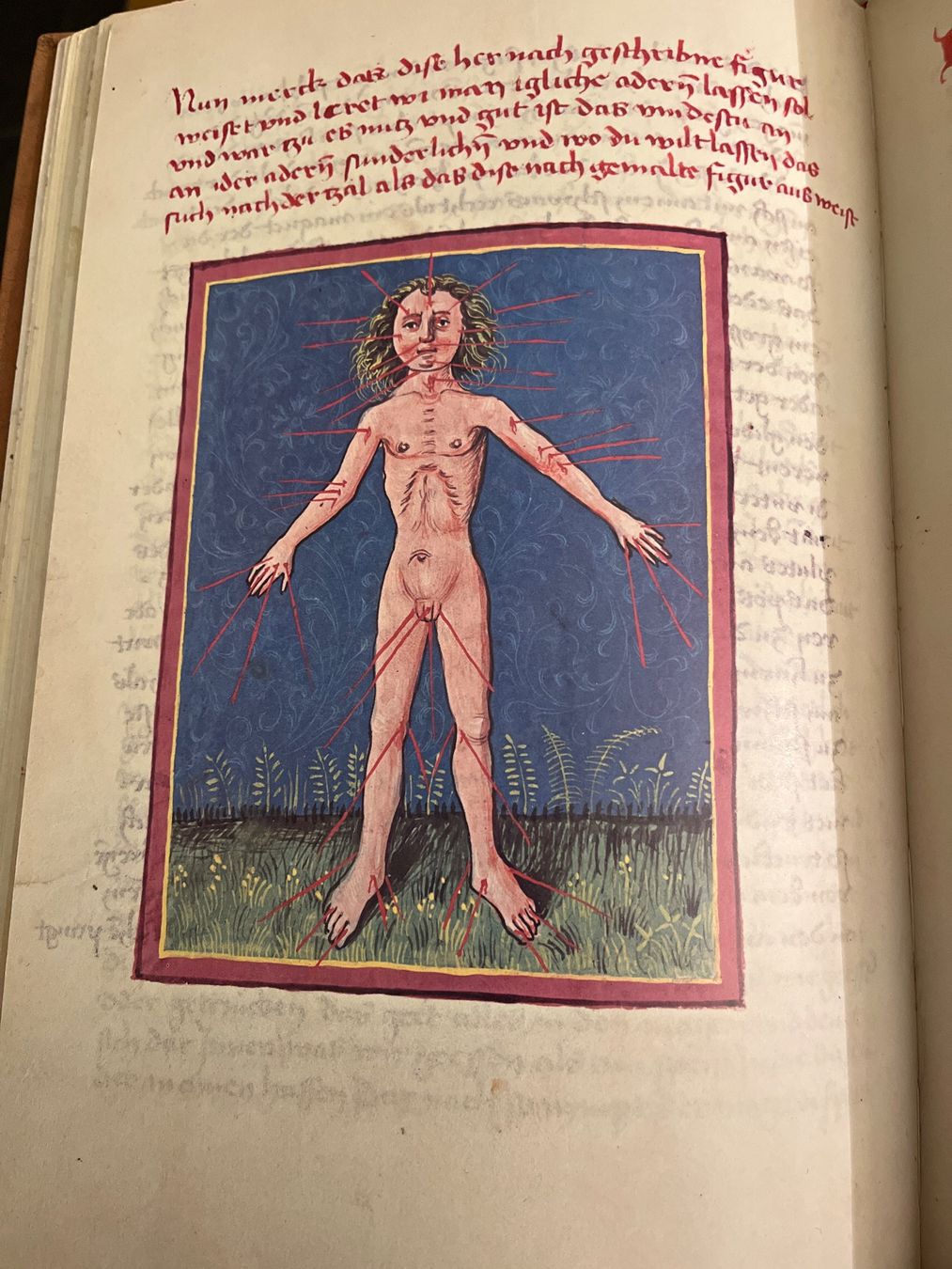 Libri: Antikes Buch "Vom Einfluss der Gestirne – Usato da Uster venduto da naderkhan 6