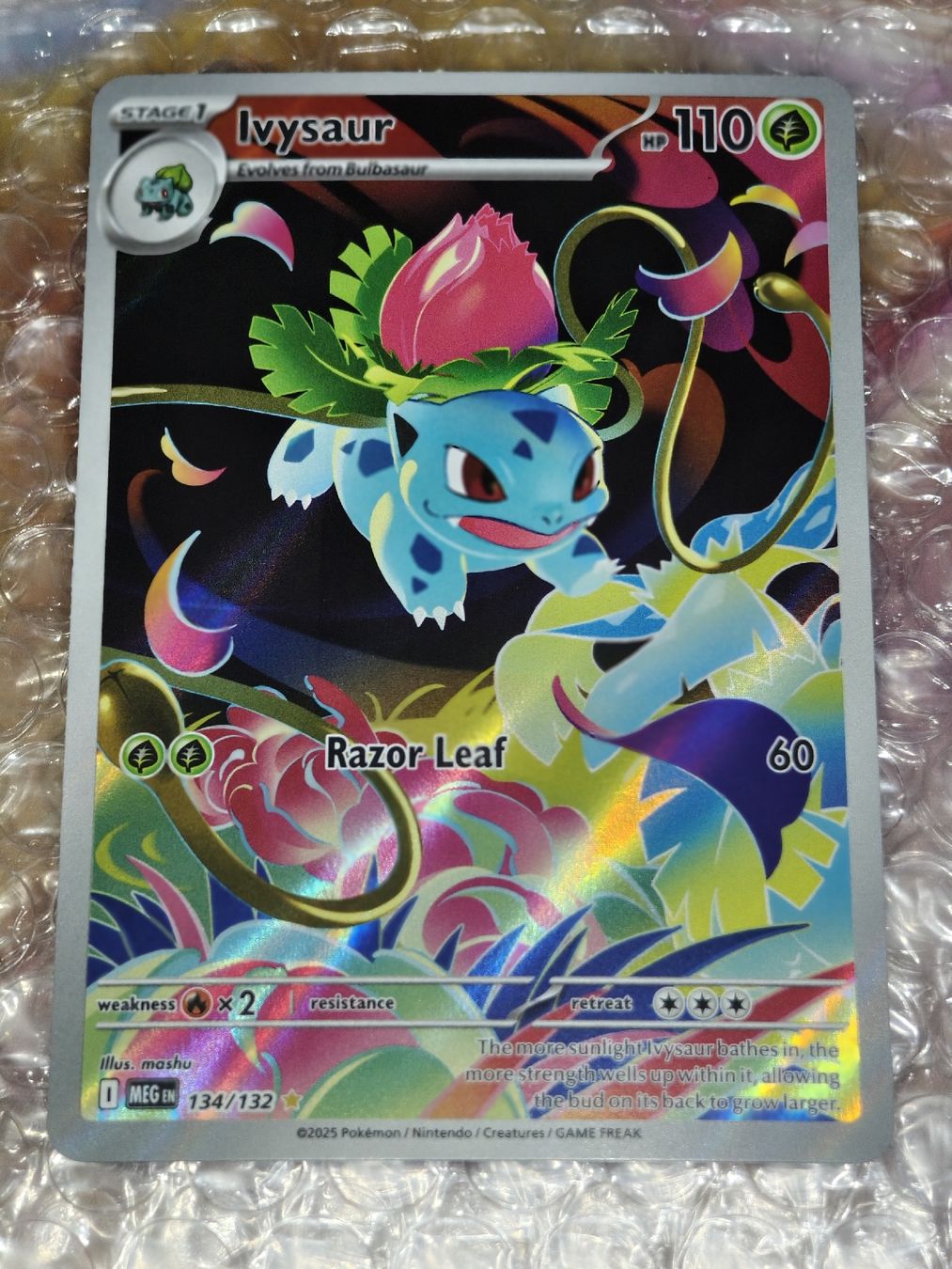 Pokémon Carte collezionabili: Ivysaur 134/132 EN – Nuovo (secondo la descrizione) da Therwil venduto da Cordachu_Trade