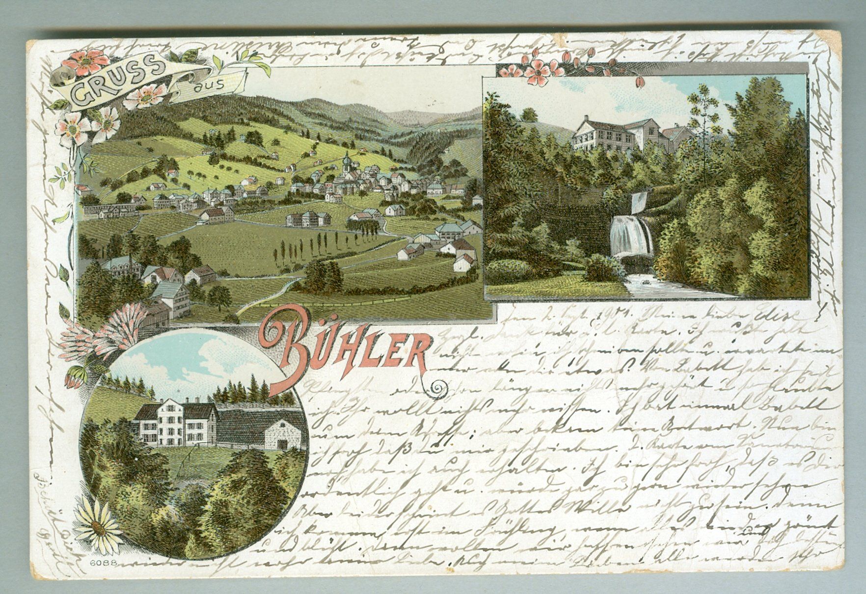 Cartoline postali: 1901 Schweiz AK Kt AR – Usato da Zürich venduto da yago-rot