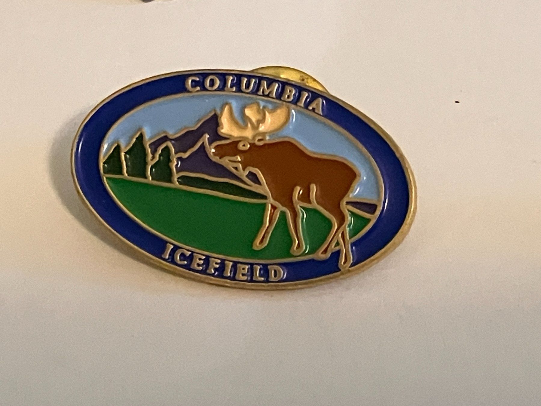 Placchette & Badge: 1 Pin Columbia Icefield – Usato da Basel venduto da djwwpp