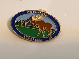1 Pin Columbia Icefield