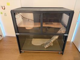 Mäuse, Ratten, Kleintiergehege zweiteilig, mit Zubehör