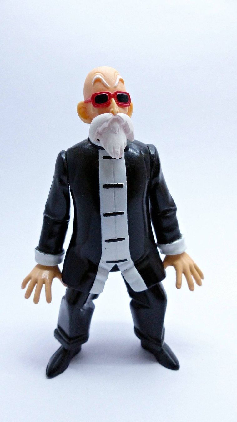 Figuren: DRAGONBALL Z HERCULE 1996 & MASTER ROSHI – Gebraucht aus Lugano von YouWantUS 1