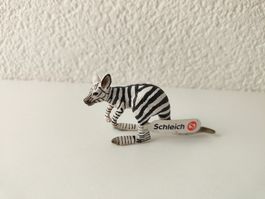 Schleich Neu Zebra Kängeru Exclusive Wild Life Deko