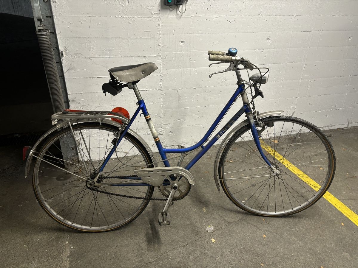 Biciclette: Vintage Eiger Damen Velo – Difettoso da Ostermundigen venduto da Mcone