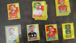 350+ panini sticker
