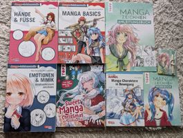 Manga zeichnen lernen 