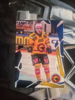 Thierry Schild SC Bern Sportzoo 2025/26 Blue