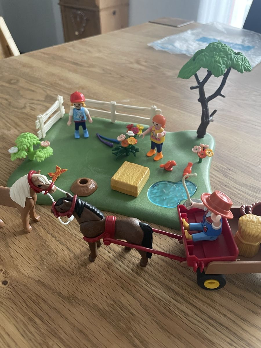 Playmobil Giocattoli: Playmobil – Nuovo (secondo la descrizione) da Oberembrach venduto da Marietta53