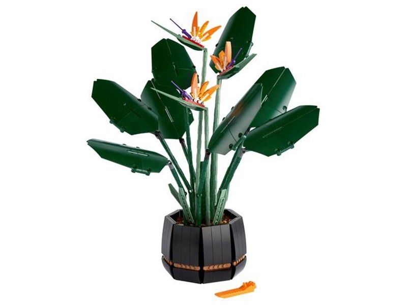 Lego Baukästen: Lego Paradiesvogelblume Set 10289 neu – Neu und originalverpackt aus Basel von Swi-7621 2