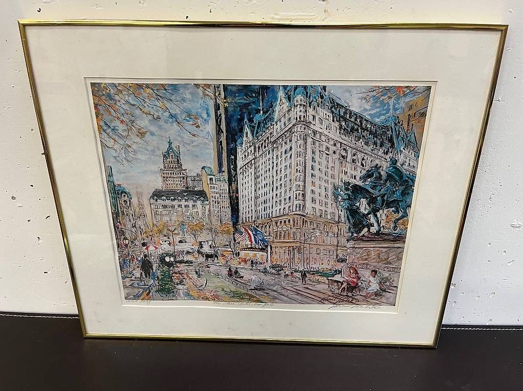 Grafica & Litografie: Kamil Kubik Plaza Hotel New York – Usato da Les Acacias venduto da kim_2dxt