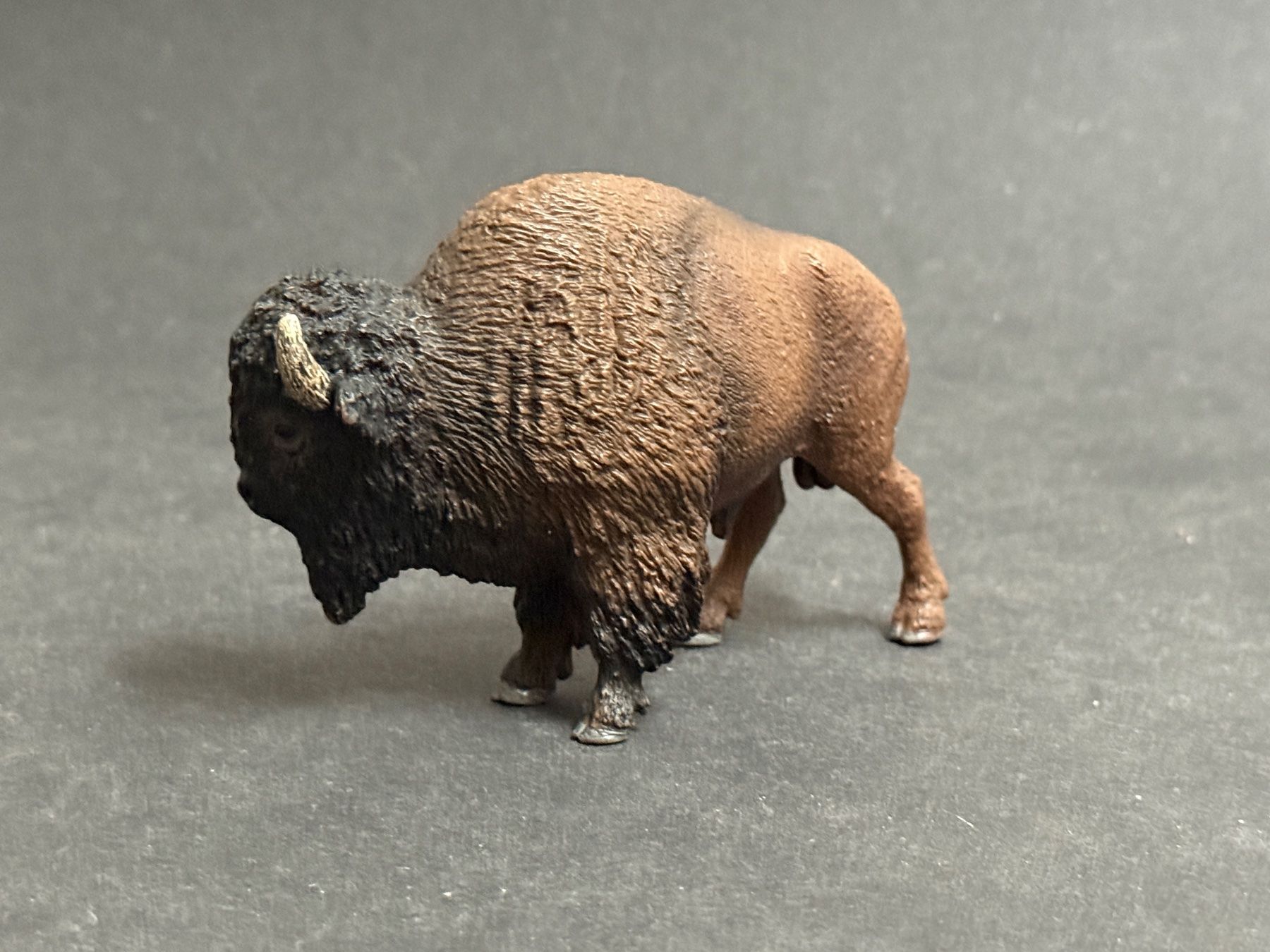 Schleich Statuette: 3 verschiedene Bison Schleich – Nuovo (secondo la descrizione) da Ennetbaden venduto da mapa05 5