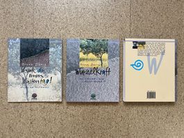 Buch "Wurzelkraft" plus Heft "Schenk dir einen Wüstentag"