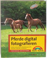 Pferde digital fotografieren