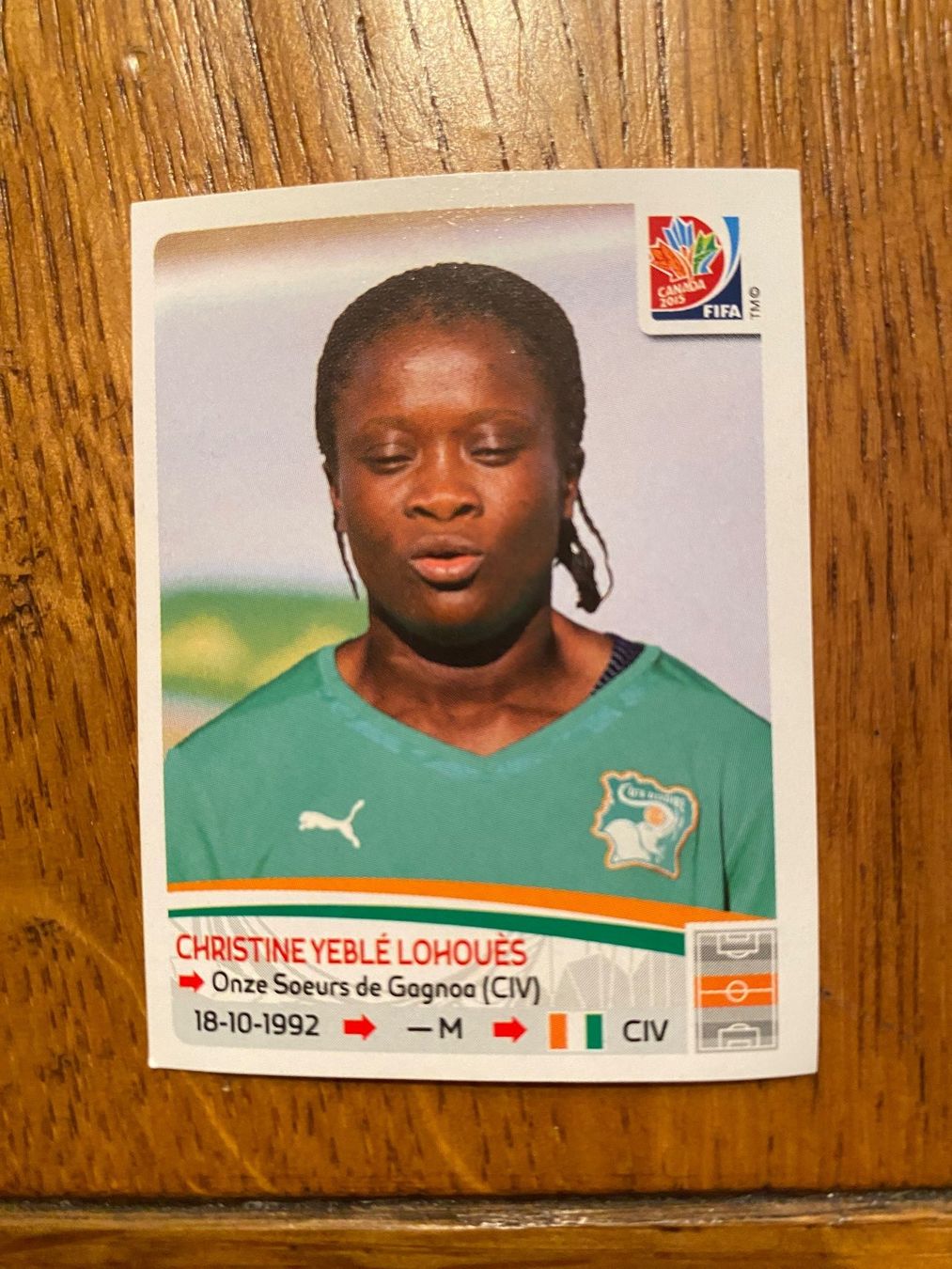 Panini Carte collezionabili: WM 2015 – Nuovo (secondo la descrizione) da Abtwil SG venduto da Zwiebi