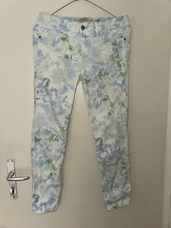 Hose