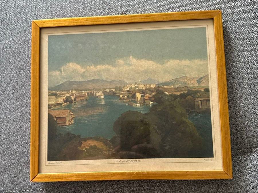 Foto & Immagini: Alexandre Calame Bild Rhone Genf – Usato da Ebikon venduto da Gaenggeliwaar