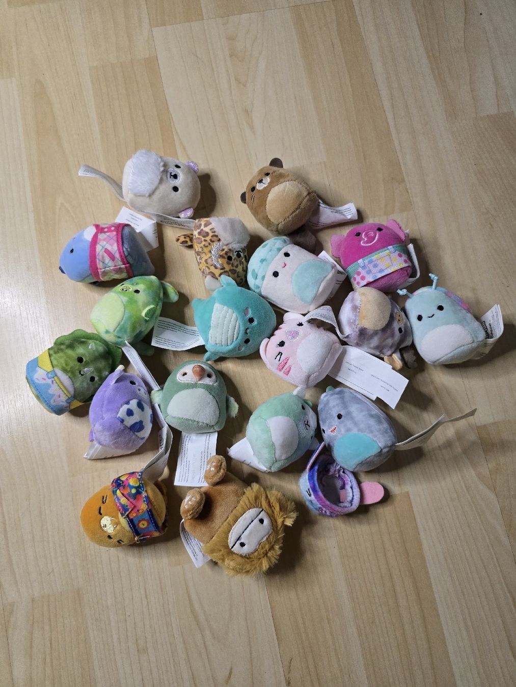 Squishmallows Jouets: Squishville Plüschis Konvolut – Neuf (Voir description) à Büsserach par sobis.trade