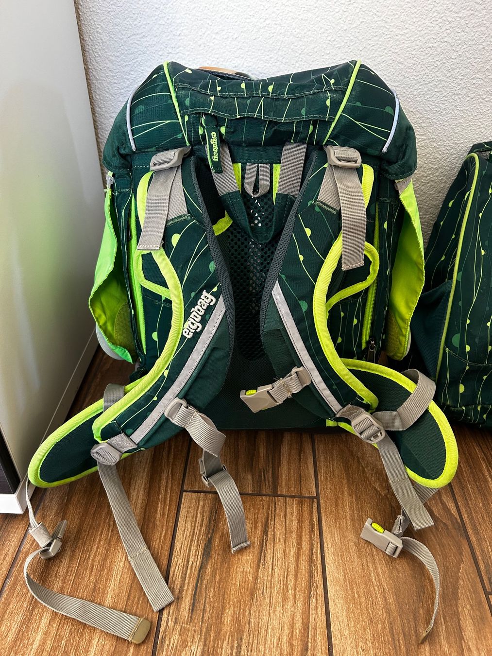 Ergobag Borse & Zaini: Ergobag grün mit vielem Zubehör – Usato da Altdorf UR venduto da arnosteff 4