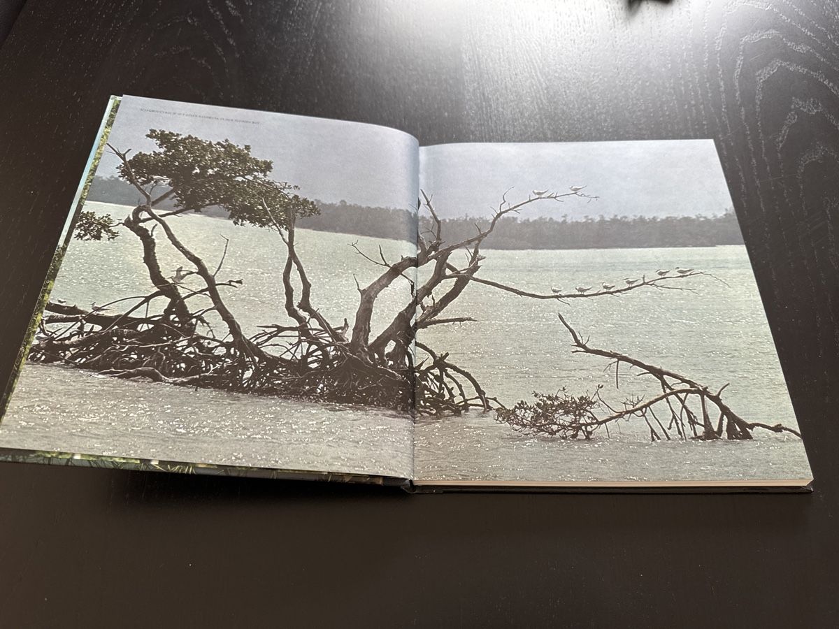 Bücher: Die Everglades von Florida – Gebraucht aus Erstfeld von Uhu1980 1
