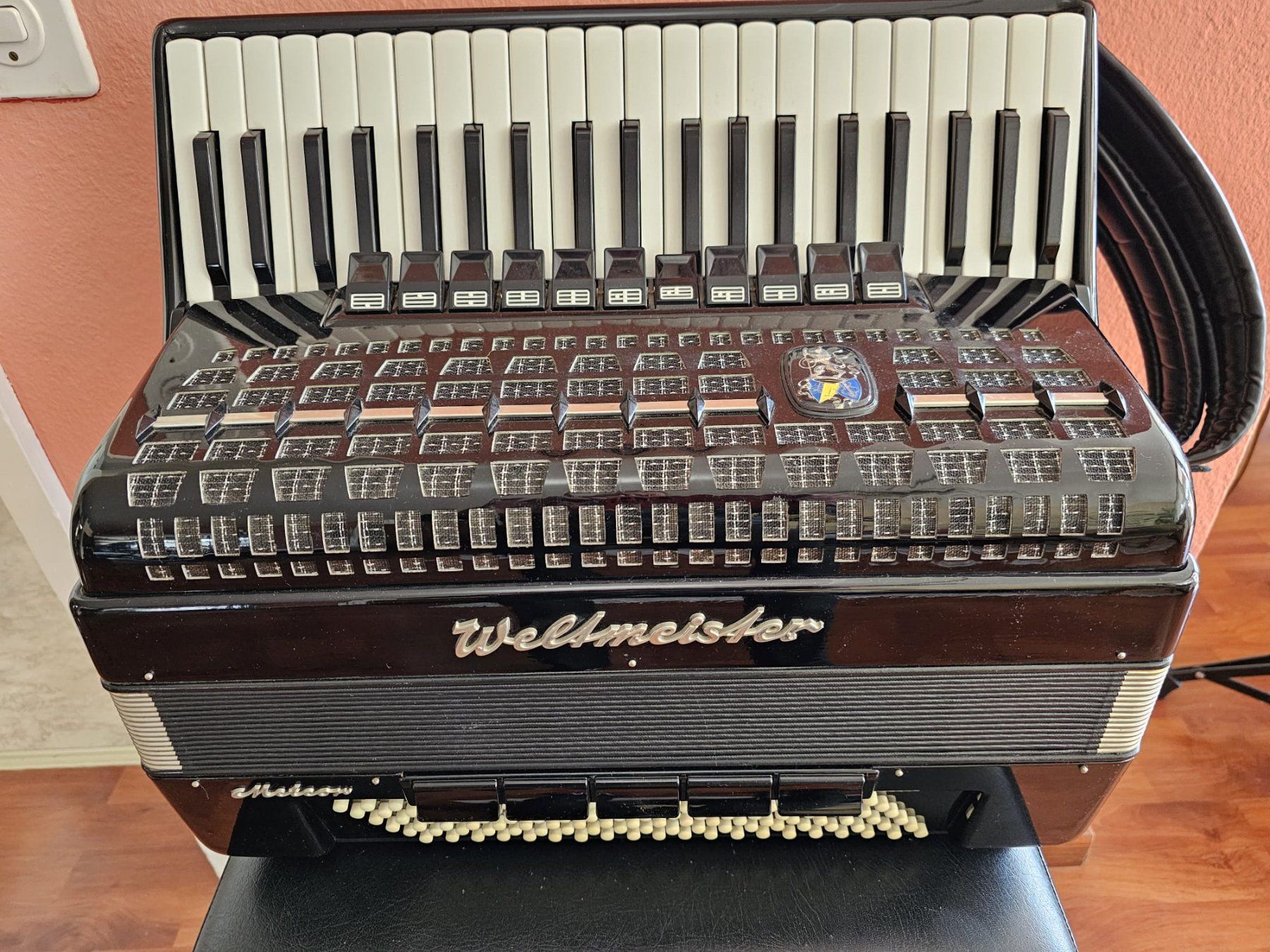 Strumenti musicali: Akkordeon – Usato da Luzern venduto da wildflower1 8