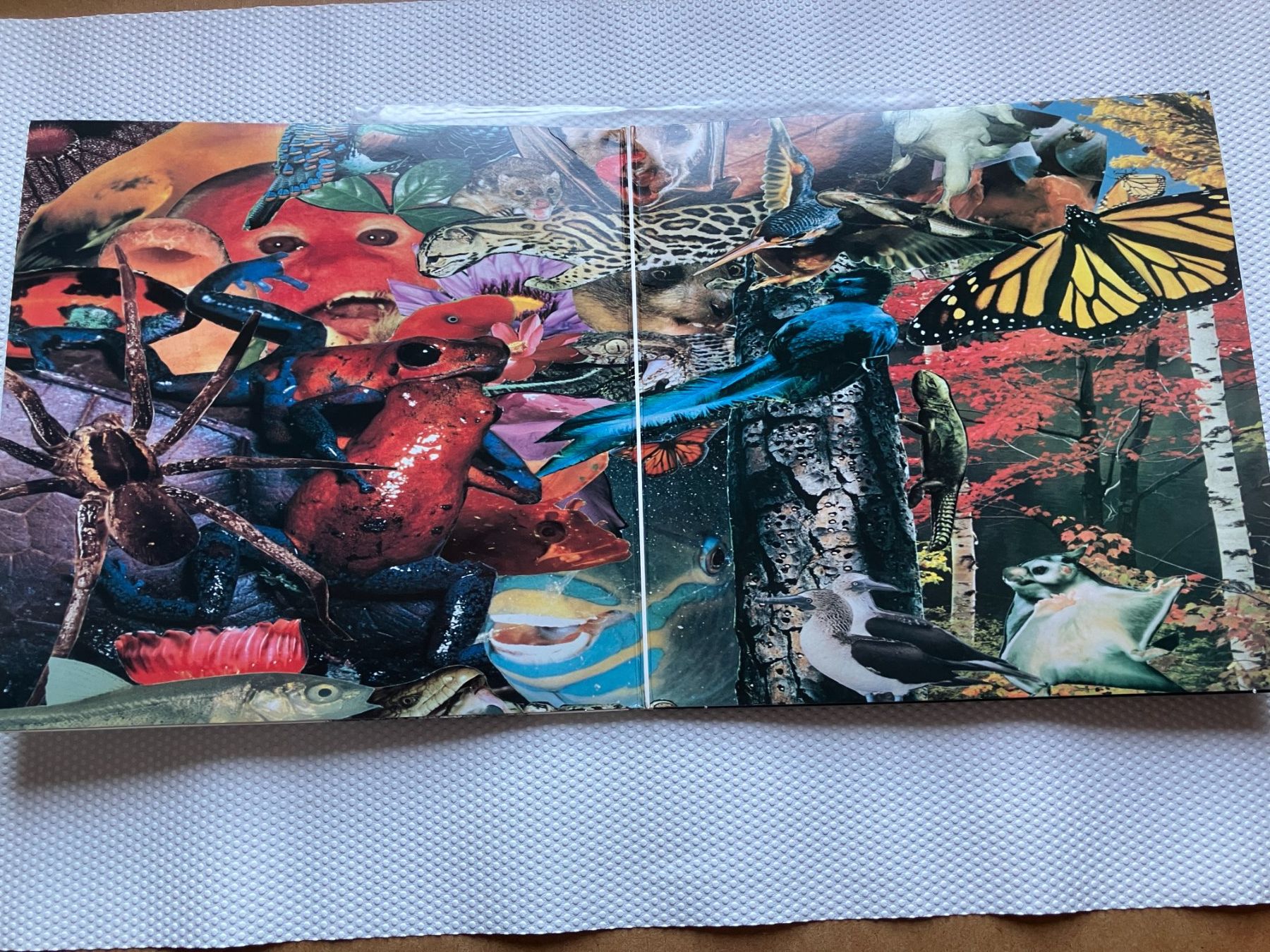 Dischi in vinile: Soundgarden – Usato da Aarwangen venduto da Jukebox3 2