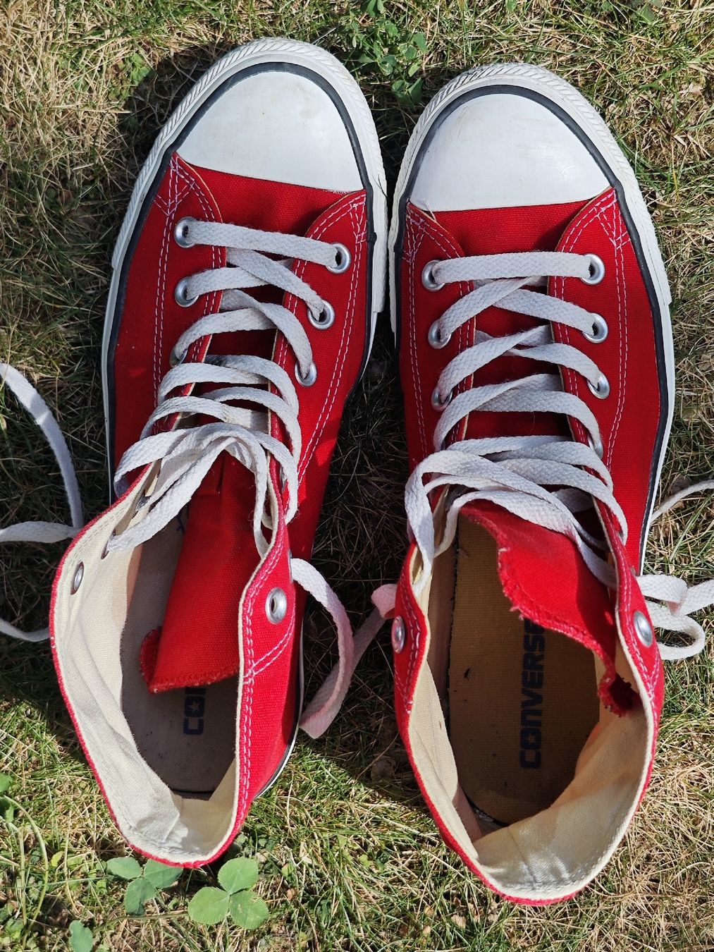 Converse Scarpe da uomo: Converse Chuck Taylor rot Grösse 42.5 gebraucht – Usato da Zürich venduto da Nate33