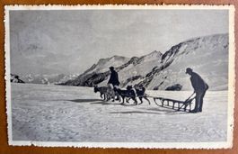 Jungfrau - Schlittengespass mit Polarhunden 1915