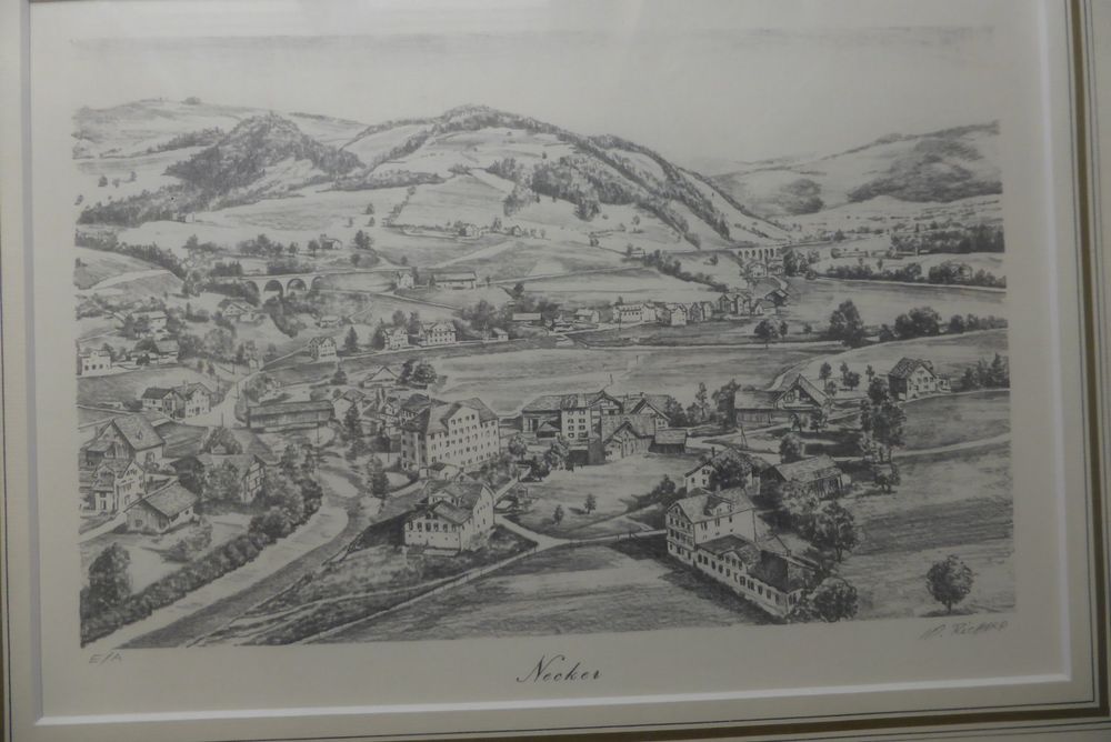 Toggenburg Necker im Neckertal im Goldrahmen 36 x 45 cm (Neu und