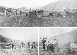 Zäziwil BE // 1920 Brächete Repro // Emmental