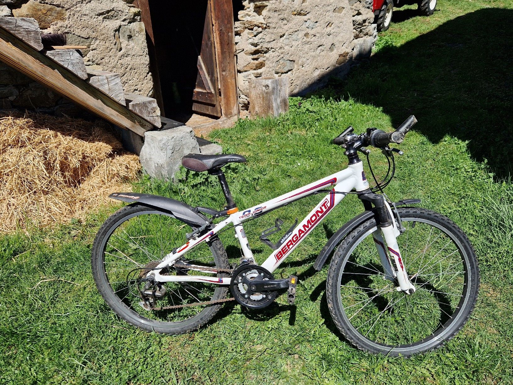 Bergamont Biciclette: Fahrrad Bergamont 24 Zoll – Usato da Binn venduto da Potter79