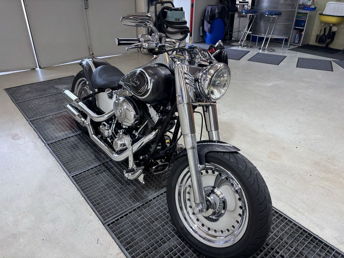 Harley-Davidson Altro: Harley Davidson Fat Boy Flstf – Usato da Birr venduto da Rosa74 6