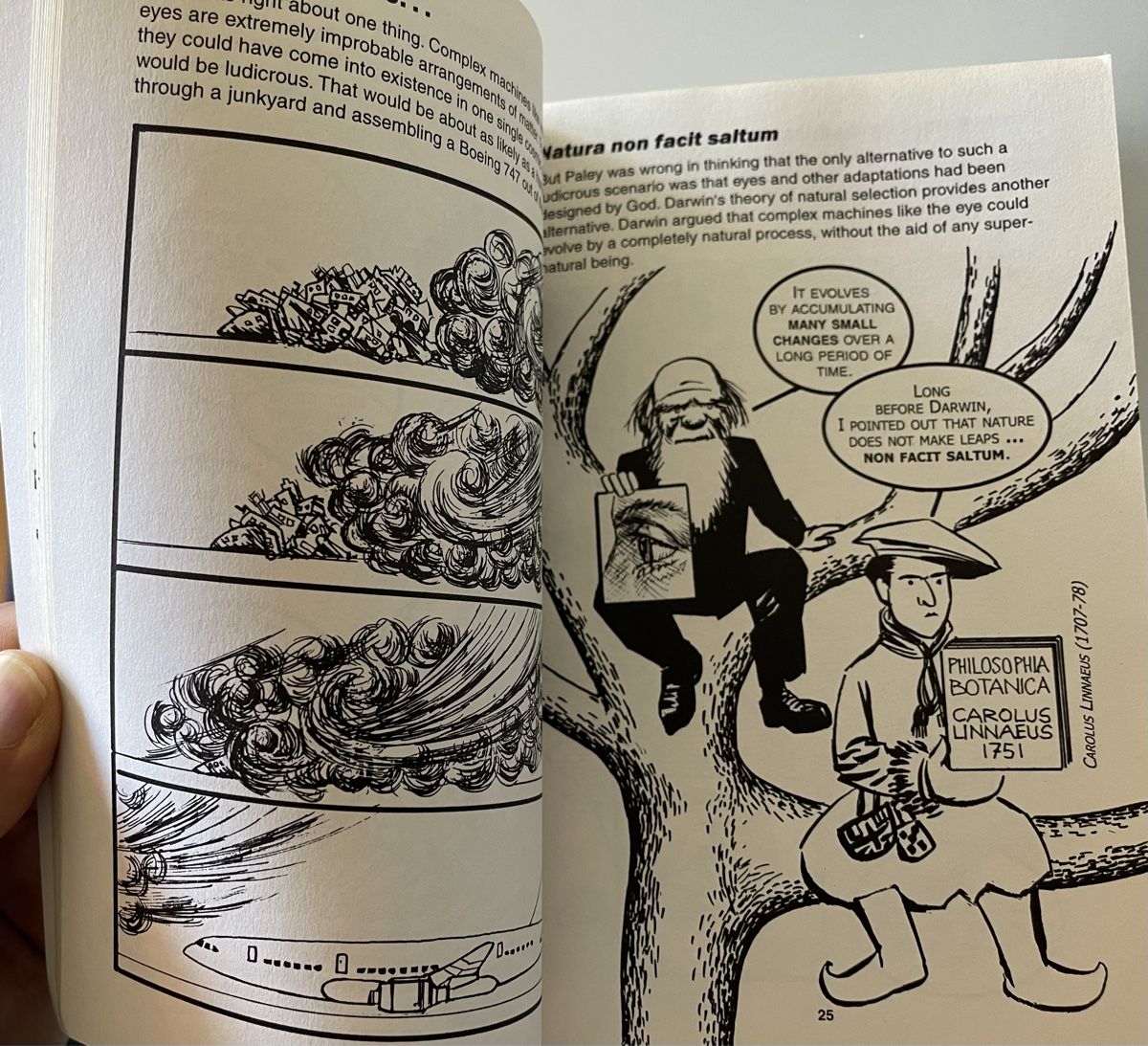 Libri: Introducing Evolutionary Psychology – Usato da Wettswil venduto da osoma99 6