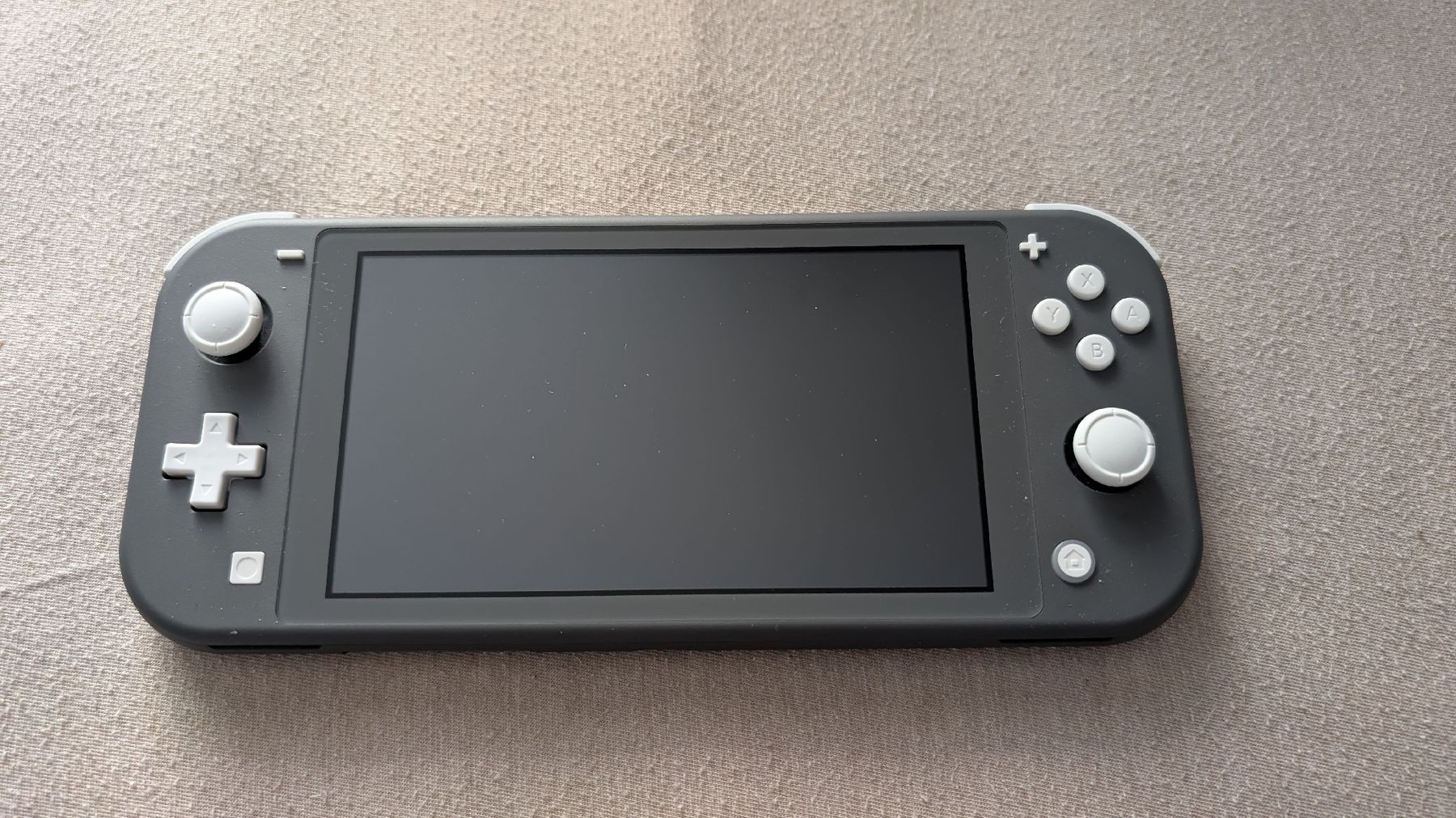 Nintendo Console: Nitendo Switch Lite Grey – Nuovo (secondo la descrizione) da Zürich venduto da geo_wn5q 2