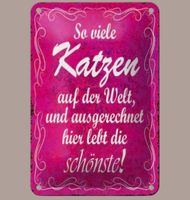 🔥 SCHÖNSTE KATZE DER WELT Blechschild 🩷 12x18cm OVP 🔥