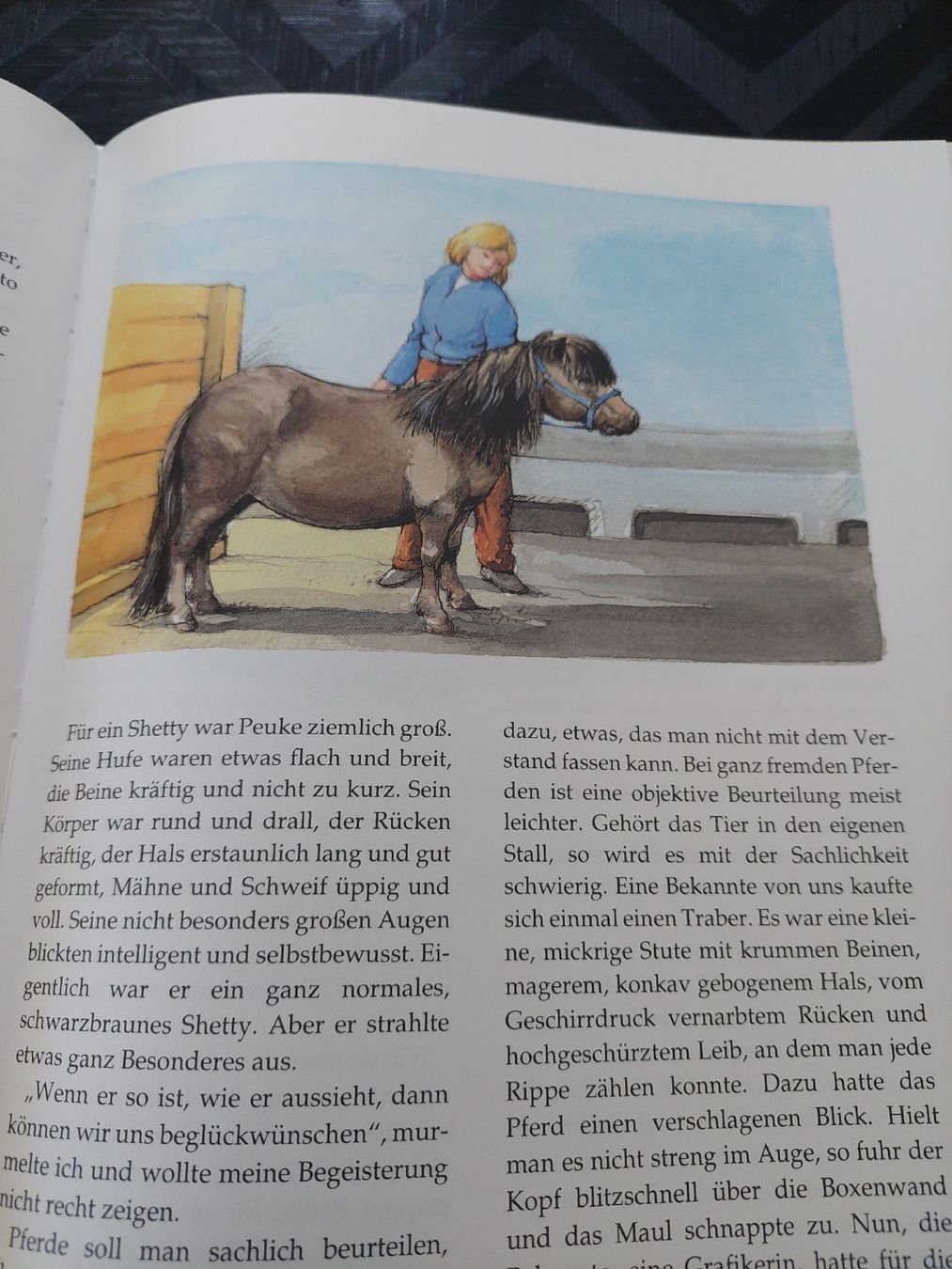Bücher: 2 Pferdebücher – Gebraucht aus Zetzwil von lanst08 2