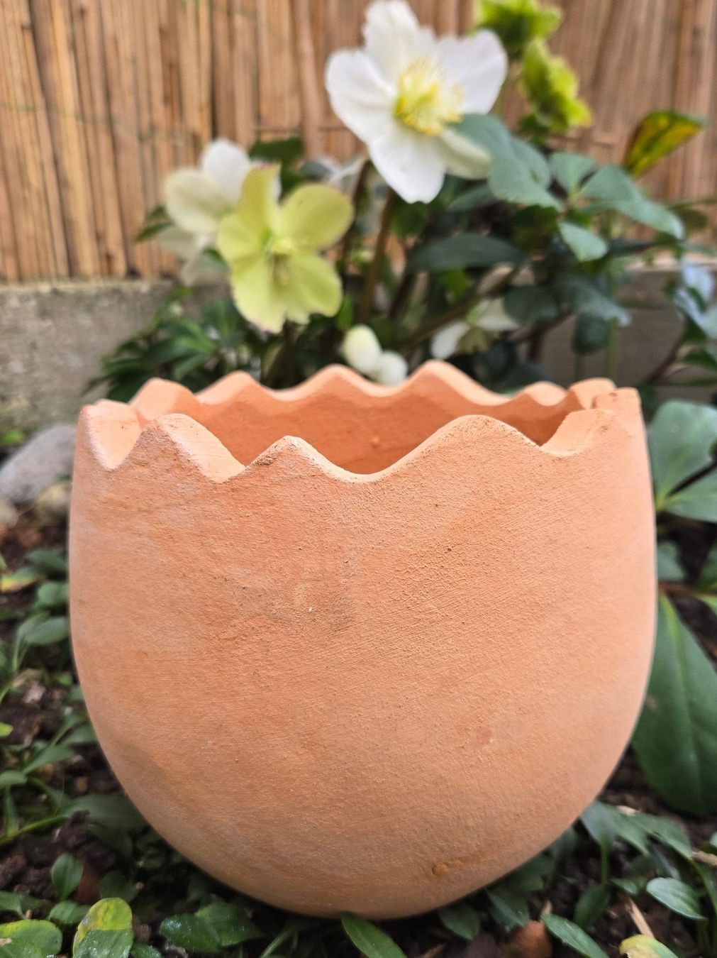 Vasi per fiori: Osterdeko Übertopf Ei aus Ton – Nuovo (secondo la descrizione) da Rheinsulz venduto da Dred 2