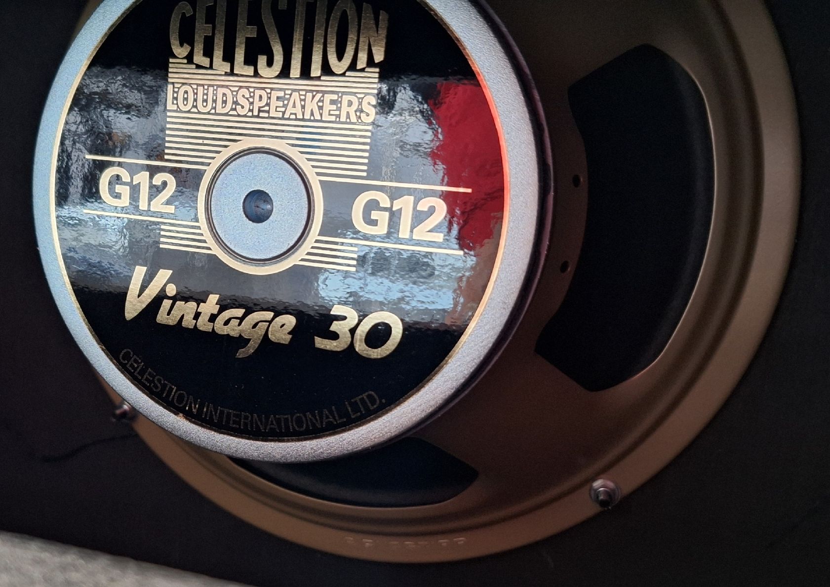 Casse acustiche: Harley Benton G112 Celestion V30 Box – Usato da Jona venduto da evamatze 2