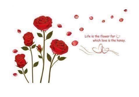 Aufkleber: Sticker rose rouge amour – Neu und originalverpackt aus Gurmels von Swisspod