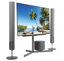 Loewe Bild 7.65 DR+ OLED (65”) inkl. Soundsystem KLANG5